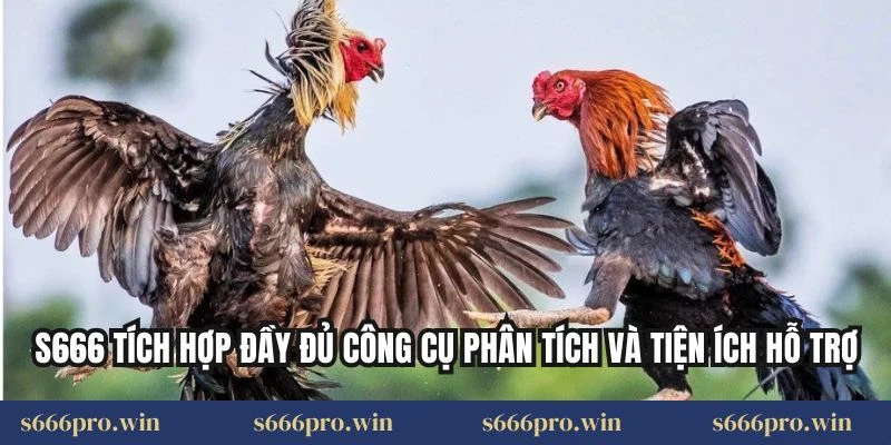 S666 tích hợp đầy đủ công cụ phân tích và tiện ích hỗ trợ